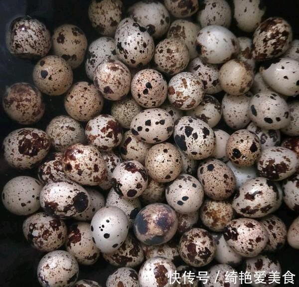 鹌鹑蛋|它含有20种氨基酸,再贵也要买,孩子个子高于同龄人,脑瓜灵!