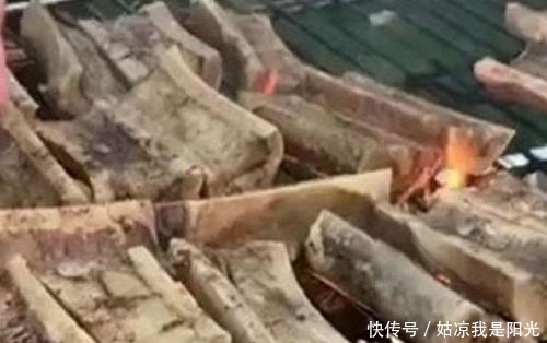 大叔卖天价烧烤,却每天遭到哄抢,吃货:借钱也要吃!