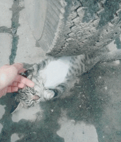 |搞笑GIF趣图姑娘还是温柔一点好,不然以后不好找对象!