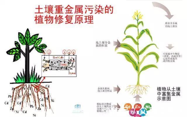 新老肉友遇到过的最多的问题都在这儿了