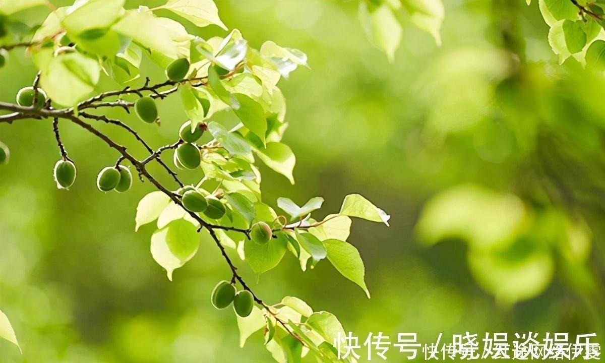 蝶恋花$晏殊《蝶恋花》乃婉约词极品,豪放词宗苏轼也作一首,可与之媲美