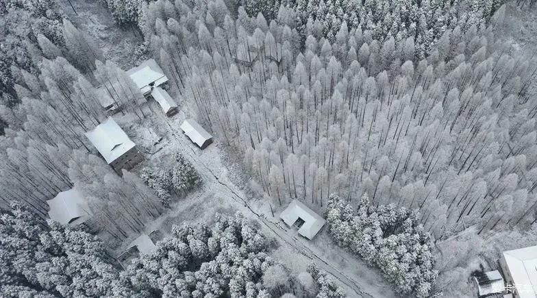 没有门票！无需登山！1天打来回的冷门耍雪地