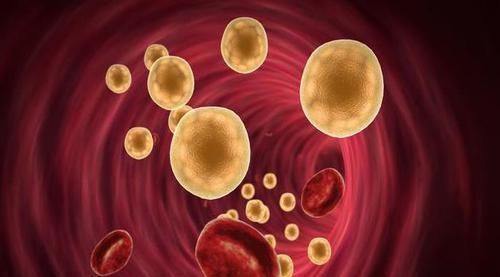 胆固醇|这6种食物是天然“降脂菜”, 高血脂的人不要错过了