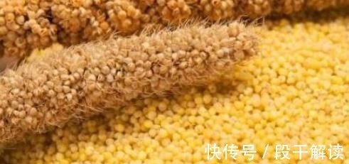 小米粥|常喝小米粥好处多,但煮小米粥时切忌放此物,吃了就是找事