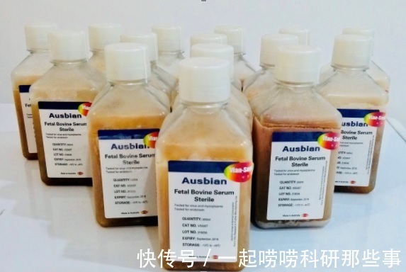 研究员|研究员发现三阴性乳腺癌耐药机制,这些发现有助于改善治疗且延长患者生存期