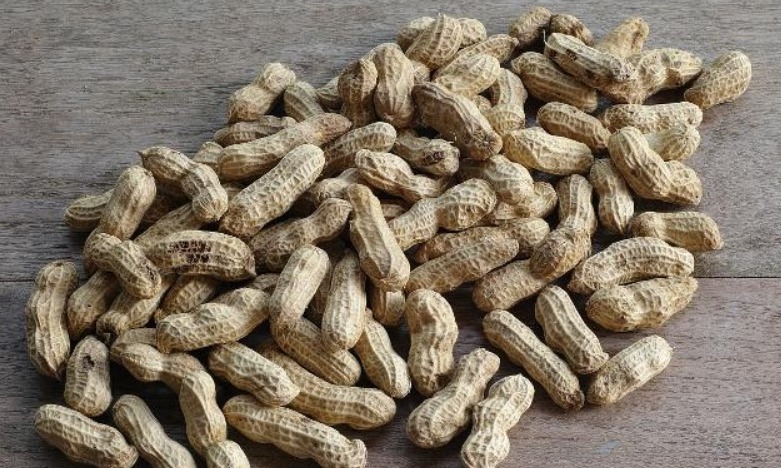 中老年人|生花生和熟花生,哪种营养价值更高很多人或许吃错了