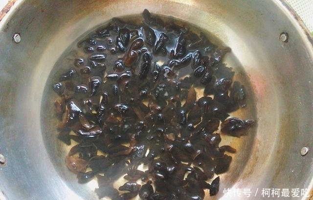 原来泡木耳这么简单,掌握好2个窍门,5分钟泡好,木耳饱满又滑嫩