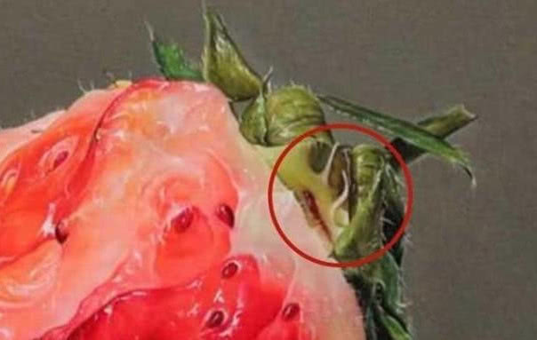 一颗红心!他画了一颗烂草莓卖了二十万,有人提出质疑,放大十五倍看