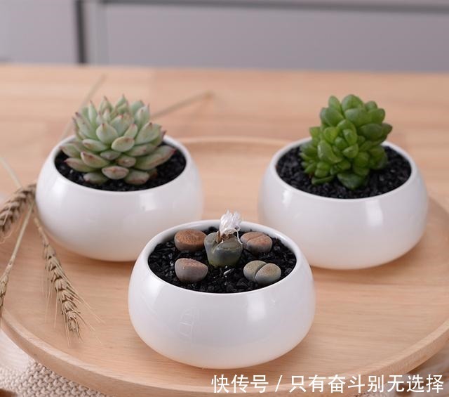 3d|我滴妈呀! 这户人真聪明, 只需在阳台加这个, 即使天天下雨也不愁!