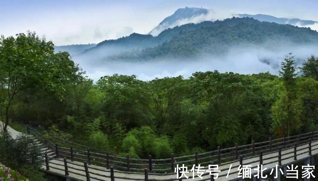 这首诗&王维很经典的1首绝句,如果现在参赛,未必能获奖,你觉得呢?