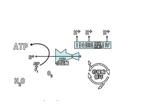 没有天生好皮，普通人如何成为秒杀同龄人的“合照杀手”？