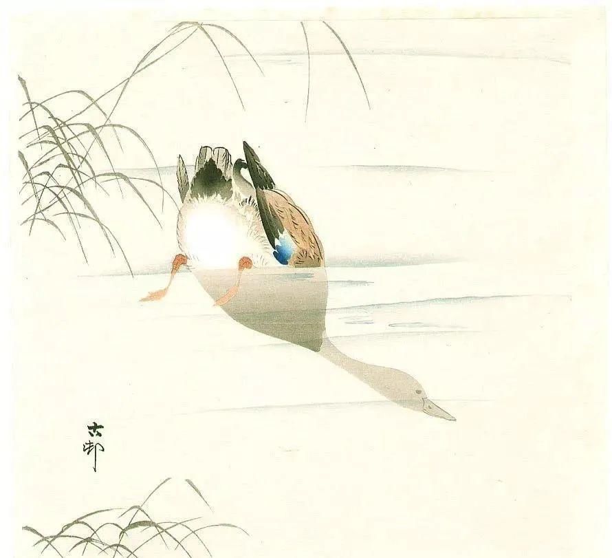 日本绘画大师的花鸟画，淡雅清新