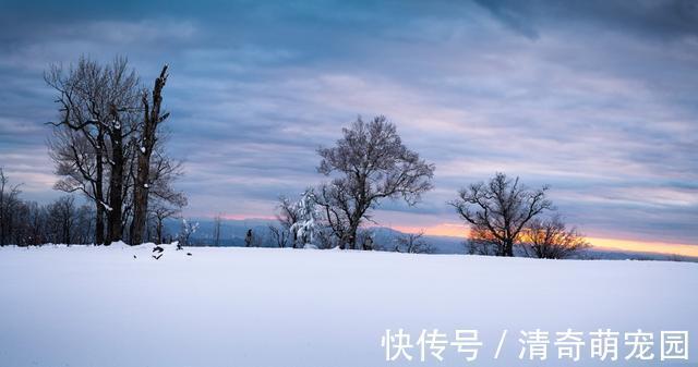 谢道蕴！白居易晚上被冻醒，写下一首夜雪诗，短短20个字，成为咏雪绝唱