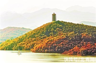 水岸红叶|“水岸红叶”赏盛景