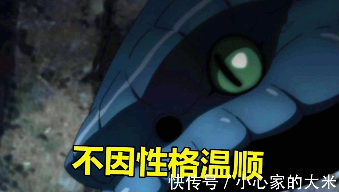 万蛇|火影忍者:青蛇和万蛇,两者有什么关系?