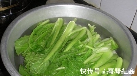 秋天一定不要错过这菜，用来做饺子馅，鲜嫩美味，韭菜馅都不如它