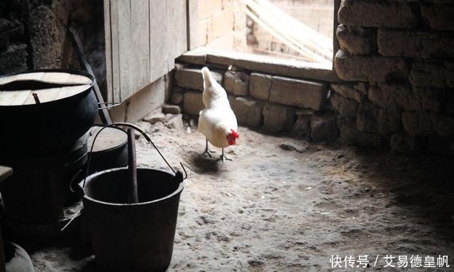 或许|朱自清:为养6个孩子妻子卖血,或许并不是不领美国救济粮而饿死