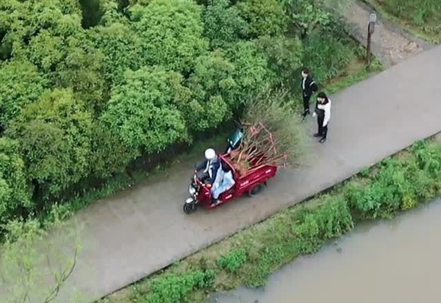 三个人|《向往5》变成了“享受生活”，三个人栽一棵树，只因为一只鸡