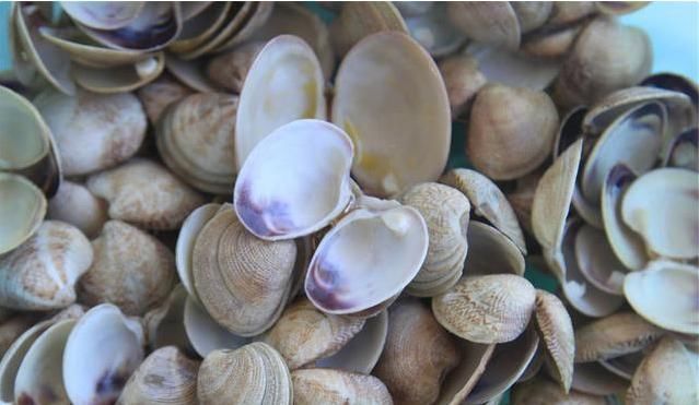 硬结|一味不被人熟知的良药,“除一身之湿消水肿,软内外硬结散瘿瘤”