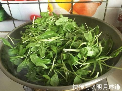 菊科马兰属|曾是民间救饥菜，如今6元一斤成高钾菜，营养比菠菜高，可别错过