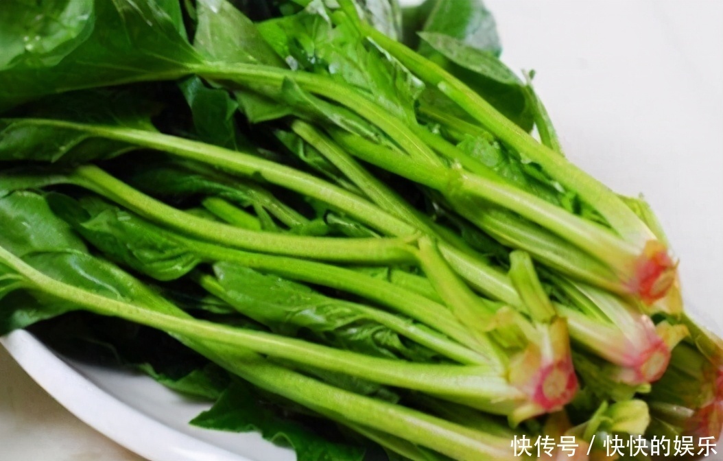 冬季养生正当时,3种食物不可少,补充营养,身体棒棒哒