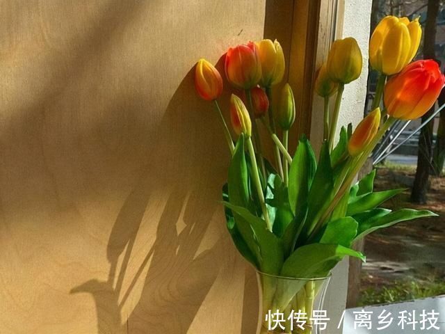 内敛|平时不起眼,关键时刻有大将风范的星座,沉稳内敛是他们的内核