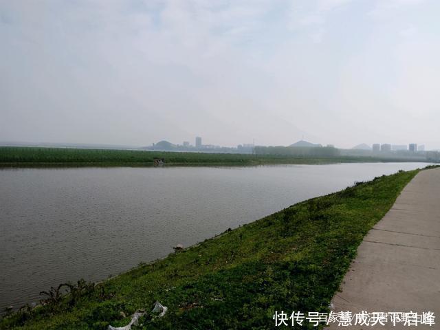 江西太冷了红眼鲮入侵江西却被成群冻晕,钓鱼人可以捞几十斤