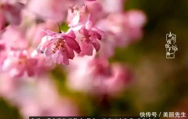 多肉——入了我的时光画卷!