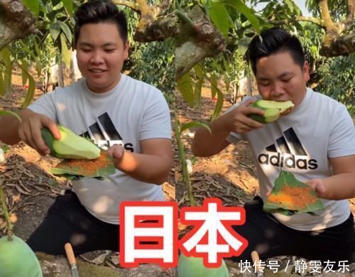 各国|各国吃芒果,日本蘸辣椒,泰国凉拌,看到印度不敢挑战