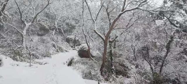 成都|紧急除雪，保障游览安全