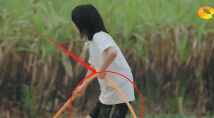 節目|明星綜藝干活被質疑，當鏡頭掃過張子楓褲腿后，網友：一目了然