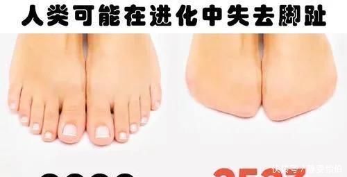 知识|关于人体的10个鲜为人知,但很真实的冷知识