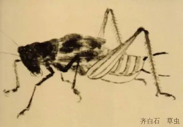 蝈蝈$国画技法图典——草虫篇:蝗虫 蚂蚱 蝈蝈 螽斯 螳螂 蟋蟀