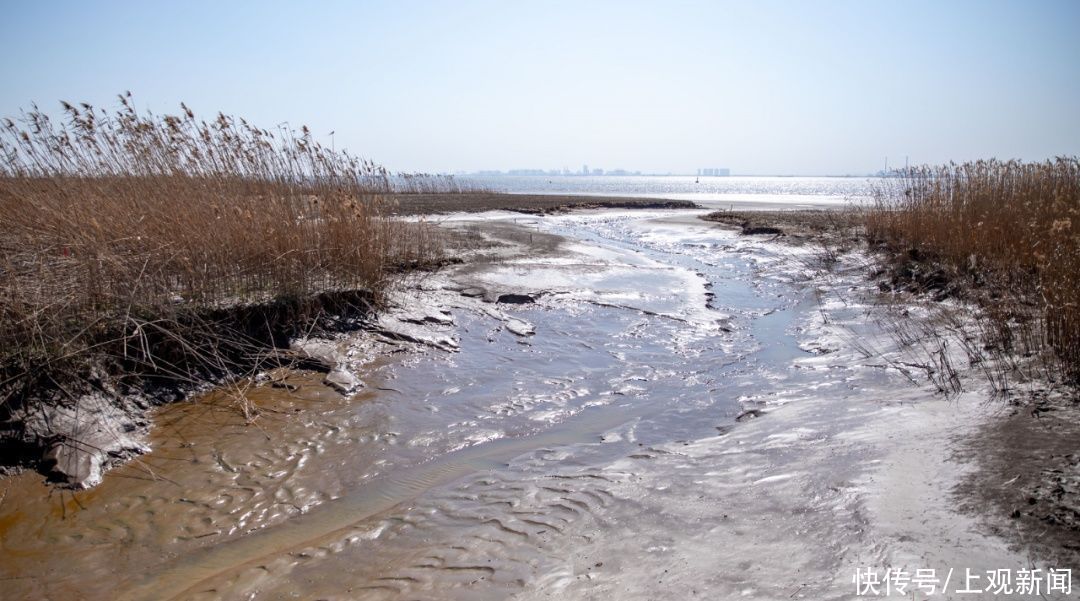 西沙湿地开园啦