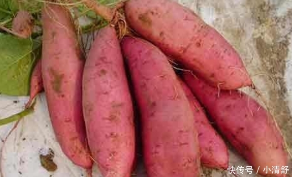 红薯直接上锅蒸就“错了”,教你正确做法,红薯更加香甜