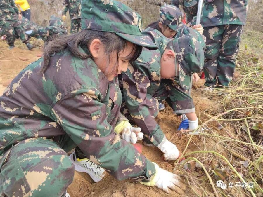 沉浸式|山东牟平：“沉浸式”劳动教育让学生收获满满