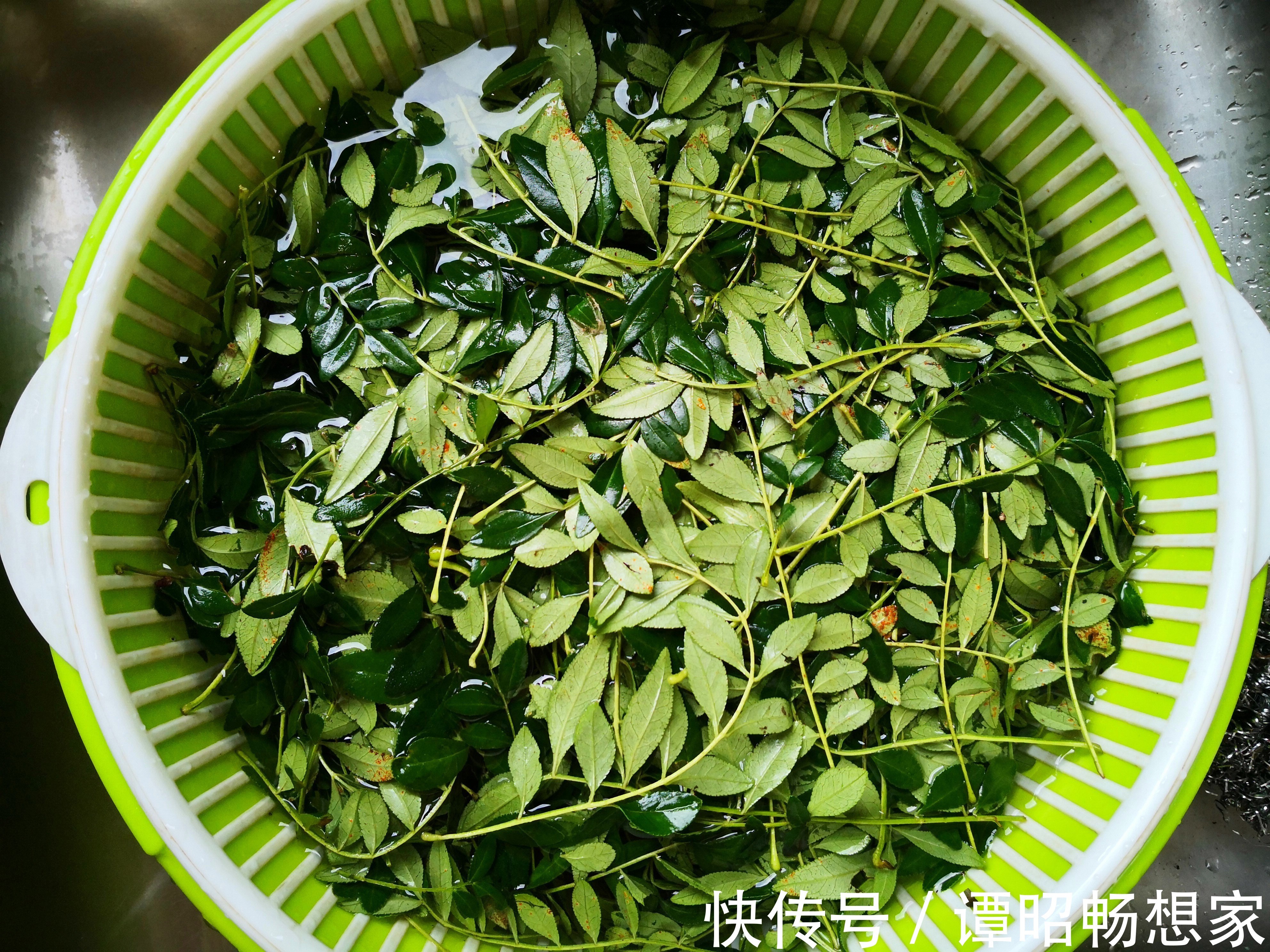 9月,此叶再不吃就过季了,风味独特,一块钱能买2斤,咋做都香