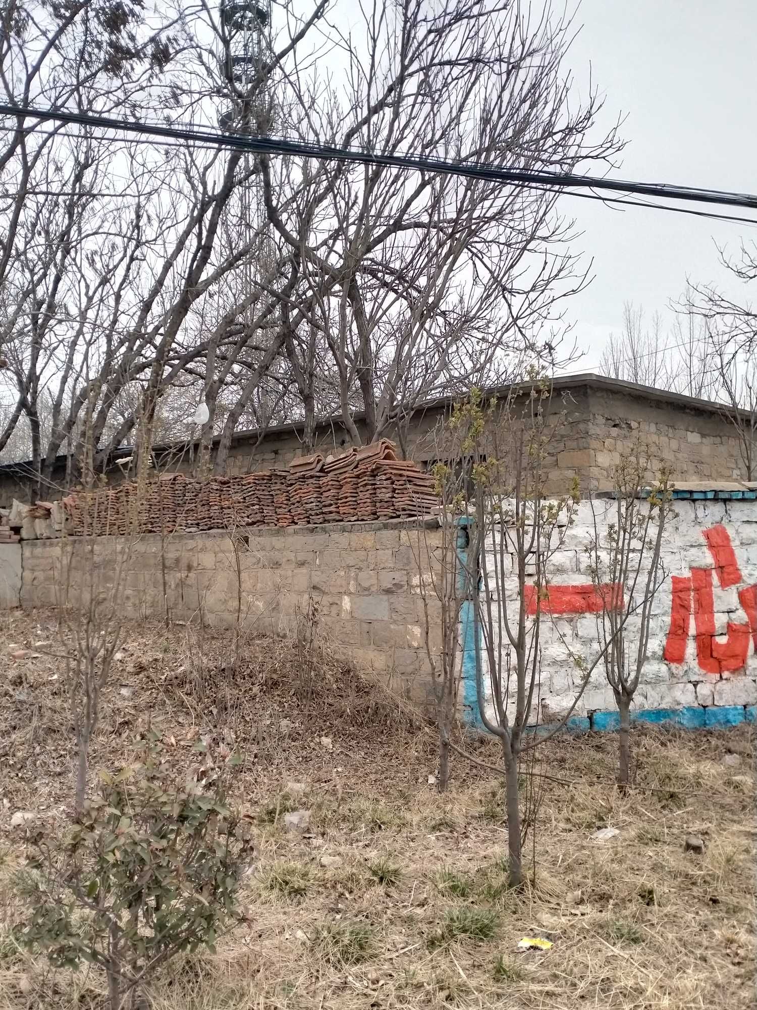 诗画丨栾湾老地方/尹燕忠