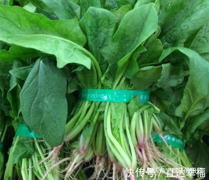 健康|菠菜虽好,但要与它同食是人体“健康杀手”,爱吃菠菜的人有福了