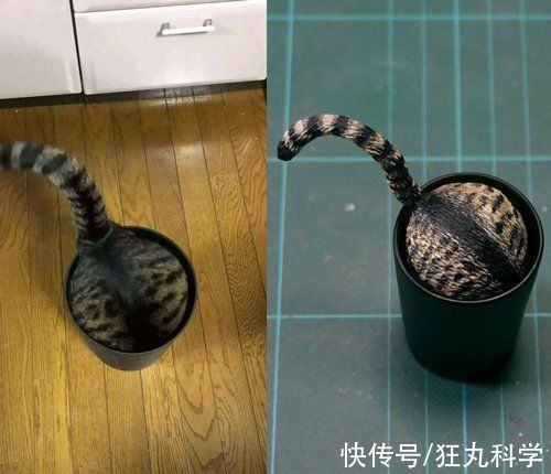 长颈狗|全球的猫都想屏蔽这个日本人,他到底做了多少沙雕手办?