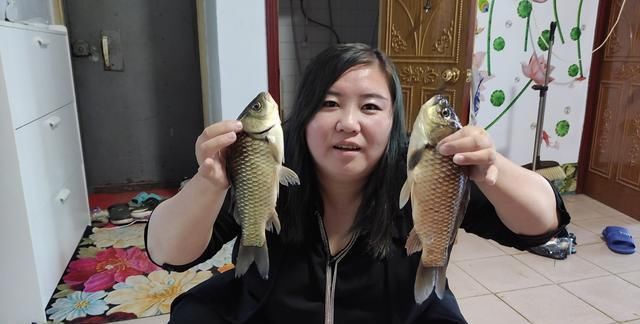 浅滩|大鲫鱼的“哭泣”躲在河中心都没用,最终沦为钓鱼人的盘中餐?