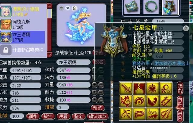 次数|梦幻西游：全服首只出手次数最多的个性宠，一回合攻击16个目标