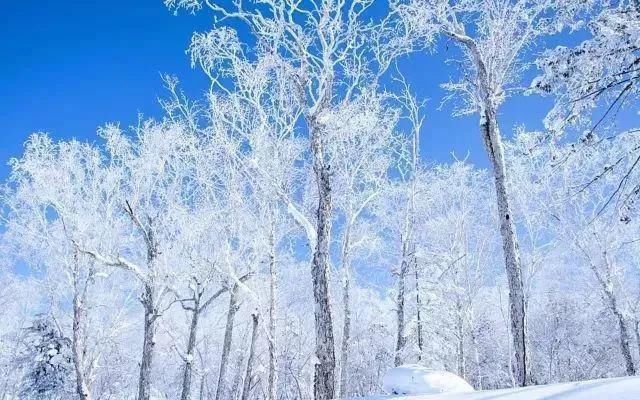 是时候计划一场“冬日的旅行了”，要不然又拖到明年啦！