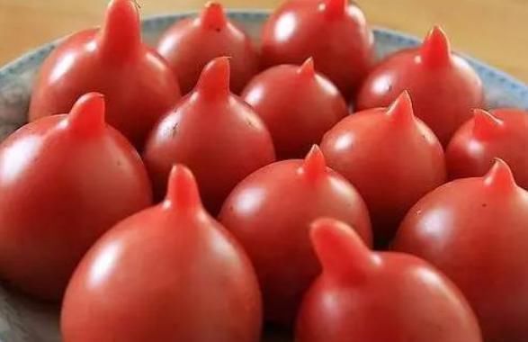 买西红柿时,如何分辨“激素”西红柿?为了家人的健康,赶紧看看