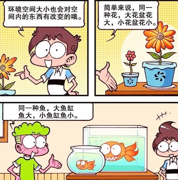 星太奇：奋豆抱着“僵尸抱枕”睡觉，古老师被当作叫花子！