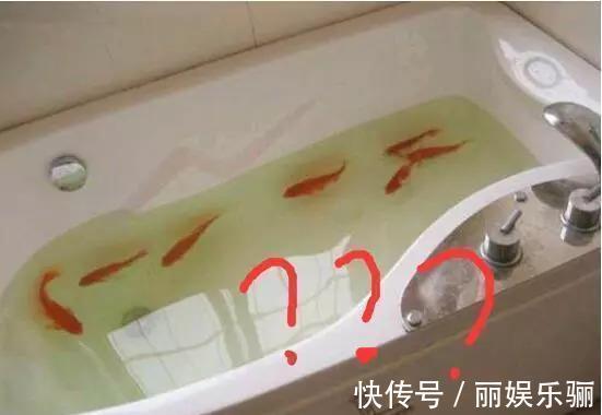 总阀|找了熟人装修,依旧没躲过这20条遗憾,泪水只好往肚子里咽!