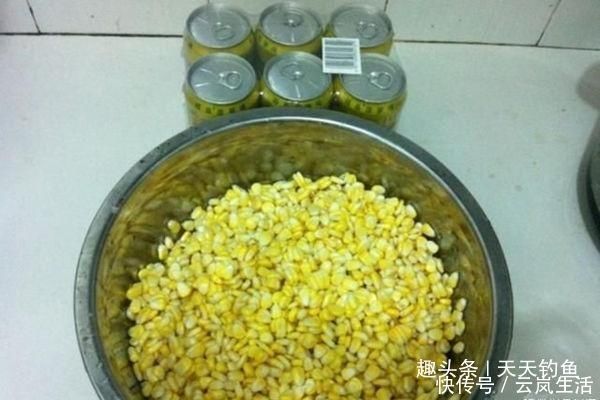 味型|盛夏时节钓鱼,鲜为人知的四个用饵技巧,饵料对了口,上鱼更多