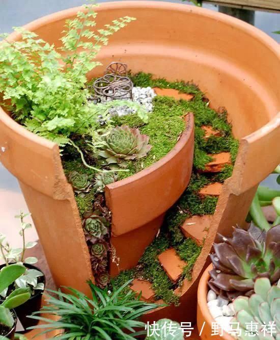 花盆不用买,变废为宝做一个,比买的还好看,分分钟惊艳朋友圈