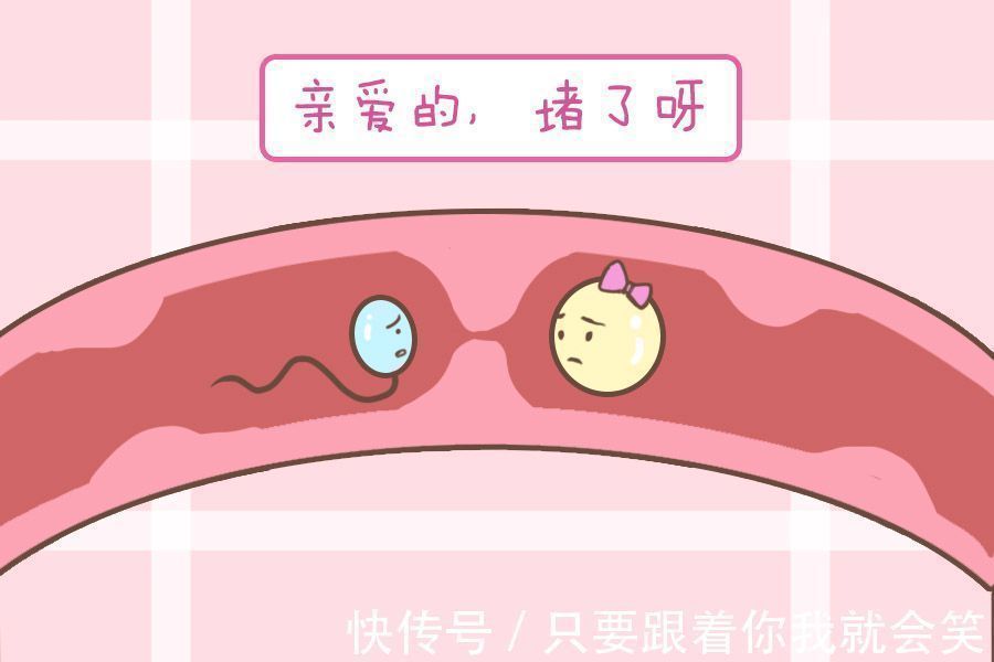 胎盘前置|怀孕后,胎盘前壁好还是后壁好这个位置很危险,孕妈要了解清楚