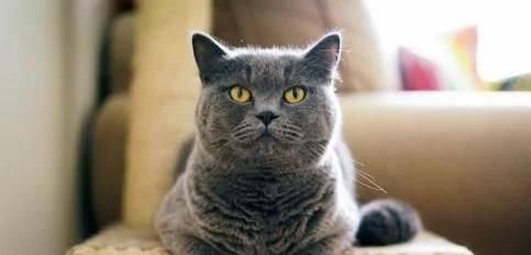 |幽默笑话:妹夫出差回来就进了卫生间,然后直接要跟小姨子离婚